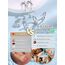 JeweBella 3 Paar Ohrringe Silber 925 Set für Damen 14 Karat Vergoldet Kleine Ohrstecker Stapelbar Zirkonia Creolen für Mehrere Piercings