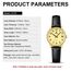 LN LENQIN Uhr Damen Armbanduhr Damen Uhr mit Großen Ziffern Analog Quarzuhr für Frauen mit Lederband