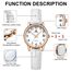 LN LENQIN Uhr Damen Armbanduhr Damen Uhr mit Großen Ziffern Analog Quarzuhr für Frauen mit Lederband