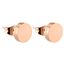 LIEBESKIND Damen-Ohrstecker Edelstahl mattiert - LJ-0051-E-07