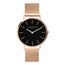Liebeskind Berlin Armbanduhr LT-0220-MQ IP roségold