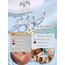 JeweBella 3 Paar Ohrringe Silber 925 Set für Damen 14 Karat Vergoldet Kleine Ohrstecker Stapelbar Zirkonia Creolen für Mehrere Piercings