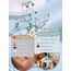 JeweBella 3 Paar Ohrringe Silber 925 Set für Damen - 14 Karat Vergoldet Kleine Ohrstecker Stapelbar Zirkonia Creolen für Mehrere Piercings