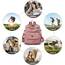 Puwuzixi Frauen Rucksack Wasserdicht Anti-Diebstahl Leichtgewicht PU Mode Reisen Mehrzweck Cabrio Geldbörse Umhängetasche Handtasche Rucksack（Pink）