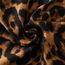 KRUIHAN Frauen Weichen Langen Hals Schal - Damenmode Leopard Tiermuster Cape,Abendgesellschaft Stilvolle Accessoires mit Quaste(Stil B-Braun)