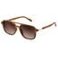 wearPro Sonnenbrille-Damen-polarisiert-Herren-UV400-Unisex-Sonnenbrillen-Trendy-Rechteckige-Retro-Klassisch-Groß-Ultraleicht-Vintage FüR Frauen-Autofahren Und Camping Verlaufs-Teebr