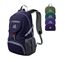 WATERFLY Ultraleicht Faltbar Klein Rucksack: 20L Leicht Packable Wanderrucksack Tagesrucksack Trekkingrucksack Outdoor Sportlich Backpack Travel Daypack für Herren Damen (Blau-Lila)