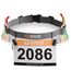 RJ-Sport Triathlon Startnummernband Laufgurt mit Nummernhalter & 6 Gel-Halter für Joggen Radfahren Marathons, Grua