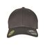 Flexfit Organic Cotton Cap, Darkgrey, L/XL