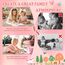 Sumtoco Busy Board, Montessori Spielzeug 2 Jahre, 9 In 1 Montessori Activity Board, Busy Board Ab 1 2 Jahr, Kinderspielzeug Ab 1 Jahr, Geschenk Für Spielzeug Ab 1 2 3 4 Mädchen, Quiet Book