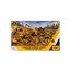 CAT® Construction Little Machines Mega-Set I Mit 40 Teilen I Enthält Fahrzeuge, einen Kran, Verkehrsschilder, Kegel, Blöcke und Zylinder I Für Kinder ab 3 Jahren, Yellow