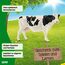 SCHLEICH Farm World | Kuh Schwarzbunt 13797 Bauernhof Spielfigur | detailgetreue Tierfiguren | tolles Geschenk für Jungen und Mädchen | Bauernhof Spielzeug ab 3 Jahre | 13 x 6 x 8 cm