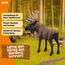 SCHLEICH WILD Life | Elch Bulle 14781 | detailgetreue Tierfiguren | Zoo Spielzeug | Geschenk für Jungen & Mädchen | Deko für Geburtstag & schöne Sammelfigur | Spielfigur ab 3 Jahren | 13 x 7 x 11 cm