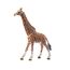 SCHLEICH 14749 Giraffenbulle, für Kinder ab 3+ Jahren, WILD Life - Spielfigur & 14770 Gorilla Männchen, für Kinder ab 3+ Jahren, WILD Life - Spielfigur