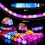 Piucrty Mitgebsel Kindergeburtstag Pop Tubes Leuchtend 8Pcs Gastgeschenke Kleinigkeiten Party Beschäftigung Gadgets Tombola Preise Kinder Knicklichter Give Aways Leuchtstäbe Kleine Geschenke