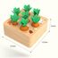 Holzspielzeug ab 1 Jahr | Baby Motorik Spielzeug für 12 Monate Jungen und Mädchen | Montessori Sortierspiel Holzpuzzle Karottenernte | Lernspielzeug für Kinder als Geburtztag Geschenk (Karroten)