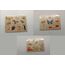 QUOKKA Spielzeug Puzzle ab 1 2 3 Jahre - Montessori Holz Steckpuzzle für Kinder ab 4 - Lernspielzeug Mit Realistischen Tieren für Mädchen and Jungen