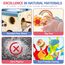 Airlab Motorikwürfel ab 1 Jahr, Motorikspielzeug Baby Activity Würfel, Montessori Spielwürfel für Kinder, 6 in 1 Aktivitätswürfel Baby Spielzeug aus Holz, Holzspielzeug Geschenk Mädchen Jungen