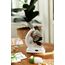 Clementoni Galileo Lab – Natur unter dem Mikroskop, Mikroskop für Kinder, Biologie-Labor für Schulkinder, Spielzeug für Kinder ab 8 Jahren von Clementoni 69804