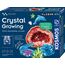 Kosmos 616854 Crystal Growing - Kristalle züchten Experimentier Set für Kinder mit mehrsprachiger Anleitung (DE, EN, FR, IT, ES, NL)
