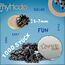 myHodo Crack Magnets Premium Set (über 1000 Stück, 5–7 mm) Sanfte Magnetkraft | Originelle Geschenkidee | Mini Magnete für ASMR, Entspannung & Fokus | Sensorisches Magnetspielzeug | Sensory Toy