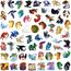 50 Stück Wings of Fire Aufkleber für Laptop, Stoßstange, Skateboard, Wasserflaschen, Computer, Telefon, Gitarre, Cartoon-Aufkleber für Kinder, Teenager und Erwachsene