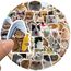 50 Stück Lustige Meme Sticker Set,Meme Aufkleber für Auto Laptop Skateboard Fahrrad Moped Motorrad Fahrrad Computer,Geeignet für Erwachsene (Katzen Meme 1)