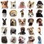 50 Stück Lustige Meme Sticker Set,Meme Aufkleber für Auto Laptop Skateboard Fahrrad Moped Motorrad Fahrrad Computer,Geeignet für Erwachsene (Hund)