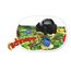 Zoch 601105077 Spinderella - Kinderspiel des Jahres 2015 - kindgerechtes Wettlaufspiel in unterschiedlichen Schwierigkeitsstufen, für Kinder ab 6 Jahren