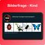 Alleswisser - Das Brettspiel mit App, interaktives Quiz-, Wissens- und Familienspiel für iOS und Android mit Tasche im Erdkunde & Länder-Layout