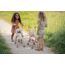 Little Dutch Puppenbuggy Puppenwagen klappbar aus Metall mit Soft-Griffen und Tasche - für Puppen von 33-46 cm, White Meadows/rosa