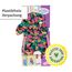 Baby Born Little Outdoor Anzug für 36 cm Puppen, 836323 Zapf Creation, grün
