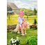 BABY born Deluxe Reiter-Outfit mit Hose, Stiefeln und Helm für 43 cm Puppen, 831175 Zapf Creation