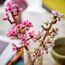 LEGO Botanicals Kirschblüten - Spielzeug mit Kunstblumen – Kreative Deko für Schreibtisch – Spielset mit Blumen zum Bauen und Ausstellen Geschenk für Mädchen und Teenager ab 8 Jahren – 40725