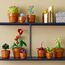 LEGO 10329 Icons Mini Pflanzen, 9 künstliche Blumen zum Bauen, Botanical Collection Sammel-Set für Erwachsene mit baubarem Terrakotta-Topf, Wohndeko, Geschenk für Frauen und Männer