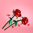 LEGO Botanicals Rosen - Kunstblumen Set - Geschenk zum Muttertag - Schreibtischdeko oder Blumendeko - Modellbau für Frauen und Männer - 40460