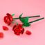 LEGO Botanicals Rosen - Kunstblumen Set - Geschenk zum Muttertag - Schreibtischdeko oder Blumendeko - Modellbau für Frauen und Männer - 40460