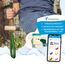 Trapez Schaukel Garten | Kinderschaukel Outdoor Indoor | Höhenverstellbar & rutschfest | Schaukelsitz - Schaukelbrett - Brettschaukel | robuste Schaukel mit Holzstange & Kunststoffringen