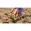 Hape Starke Schaufel, Länge 40cm, Grün - Robuste Sandschaufel für Strand, Sandkasten und Garten, Outdoor Buddelspielzeug für Kleinkinder, Sandspielzeug für Kinder ab 18 Monaten