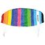 Schildkröt Dual Line Sport Kite 2.0, Zweileiner Lenkmatte, ab 14 Jahren, 75 x 200cm, inkl. Polyester Flying Line (60kp), 2 x 25m auf Winder mit Schlaufen, 2-6 Beaufort; 970469