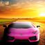 CMJ RC CARS Lamborghini Aventador LP700-4 Rosa Offiziell Lizenziertes ferngesteuertes Auto im Maßstab 1:24 Funktionierende Lichter 2.4Ghz