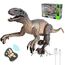 Kizmyee Dinosaurier Spielzeug，Dinosaurier Ferngesteuert für Kinder Realistisches Velociraptor mit Gehen，Brüllen，Leuchtenden Augen und Kopfschütteln Kleinkinder Jungen Mädchen Geschenkfür