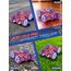 Kssvzz Spider Handsteuerung Ferngesteuertes Auto,2.4GHz RC Auto mit Ganzkörperbeleuchtung & 360° Rotation,4WD Monstertruck Spielzeug Kinder Weihnachten Geburtstag Geschenke ab 3-12 Jahre