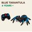 TERRA by Battat - Blaue Vogelspinne - Ferngesteuerte Spinne für Kinder - RC Tarantula mit LED-Augen - Realistisches Tier und bewegliche Beine - Schnelle Bewegung & 360 Spin - 6 Jahre +