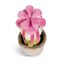 Plüschfigur Pflanze Sedum Amalia 18cm rosa aus nachhaltiger Herstellung