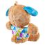 Fisher-Price Lernspaß-Hündchen mit drei Stufen | sprechendes Kuscheltier mit Musik als Kinderspielzeug und Baby Spielzeug | Interaktiver Teddybär, Version: Italienisch, FPM51