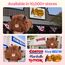 Mewaii Weiche Hochland Kuh Plüsch 40CM Kawaii Kuschelige Squishy Geschenke für Mädchen