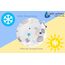 Medi Partners Kirschkernkissen Mikrowelle für Babys 180g rund 15cm Körnerkissen Wärmekissen 100% Baumwolle Öko Natur - Kirschkernkissen Wärme + Kältetherapie Massagetherapie (Teddybär)