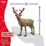 schleich FARM WORLD | Goldenes Jubiläums Rentier 72271 | detailgetreue Sammelfigur | Sonderbemalung in Gold und Glitzer | tolles Geschenk für Kinder & Sammler | Spielfigur ab 3 Jahren | 13 x 5 x 12 cm