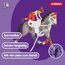 SCHLEICH Horse Club | Mias Voltigier-Reitset 42443 | Spielset inkl. Mia, ihrem Pferd, Reitlehrer Figur und Zubehör | tolles Geschenk für Mädchen und Jungen | Pferde Spielzeug ab 5 Jahren | 18 Teile